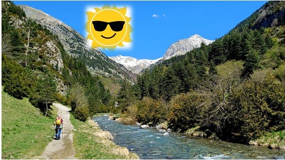 imagen ¡Te deseo un buen verano!